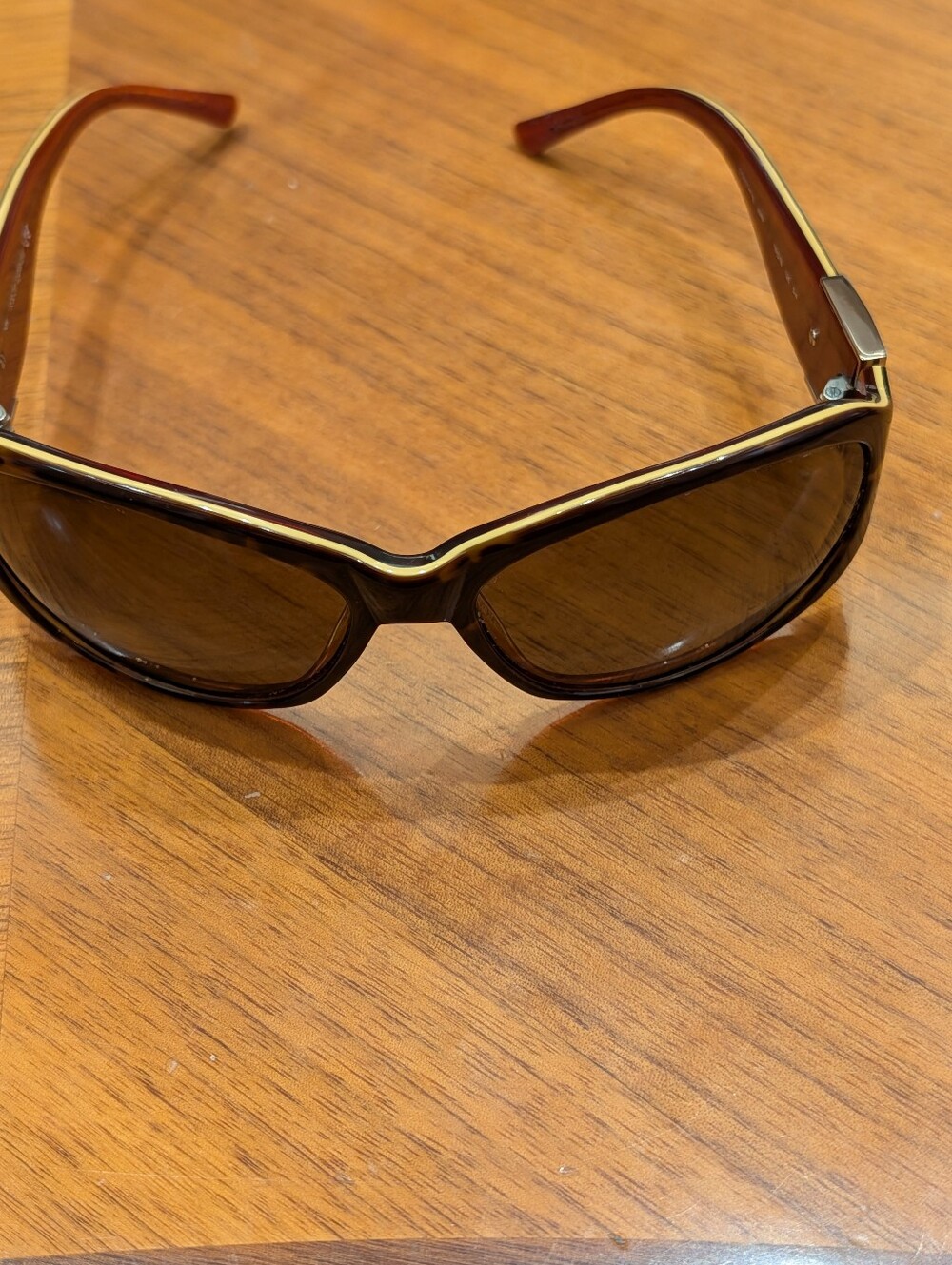 Women's Brown Fashion Sunglasses with Subtle Gold Trim